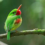 фото