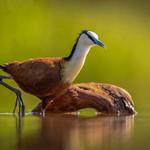 фото