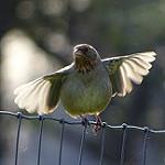 фото