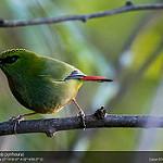 фото