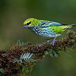 фото