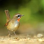 фото