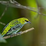 фото