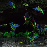 фото