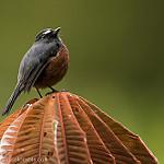 фото