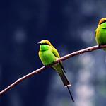 фото