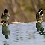 фото
