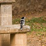 фото