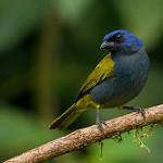 фото