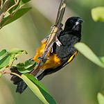 фото