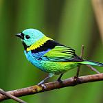 фото