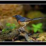 фото