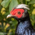 фото