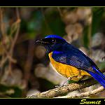 фото