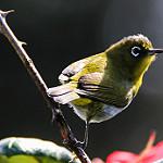 фото
