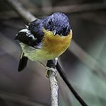 фото