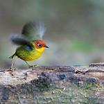 фото