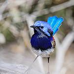 фото