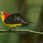 фото