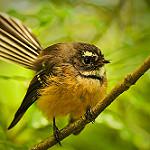 фото