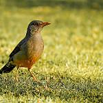 фото