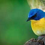 фото