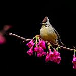 фото