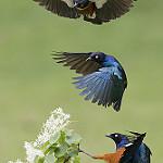 фото
