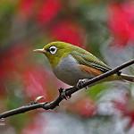 фото