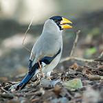 фото