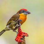 фото