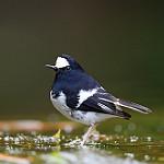 фото