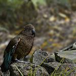 фото