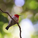 фото