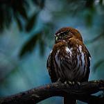 фото