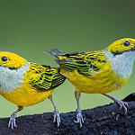 фото