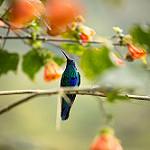 фото
