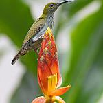 фото