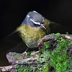 фото