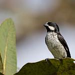 фото