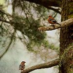 фото