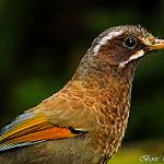 фото