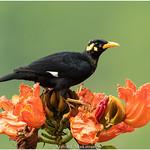 фото