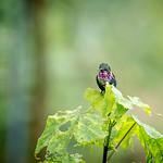 фото