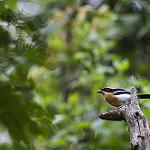 фото