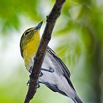 фото
