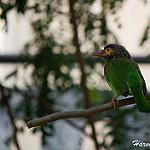 фото