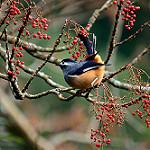 фото