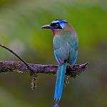 фото
