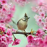 фото